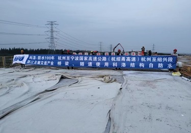 案例展示