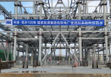 案例展示