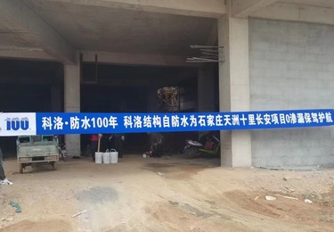 案例展示