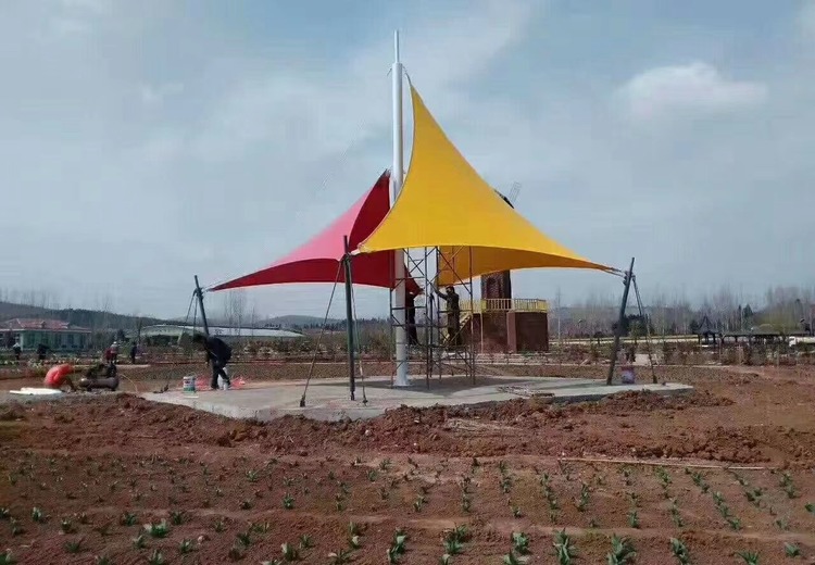 展现独特画面：一张神秘图片带你领略别样视觉体验