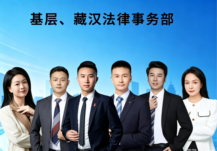 基层与汉藏双语法律服务团队：提供咨询、宣讲等多元服务助力基层法治建设