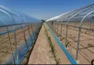 椭圆管大棚骨架