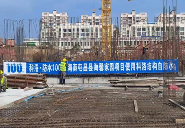 案例展示