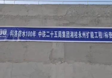 案例展示
