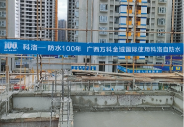 案例展示