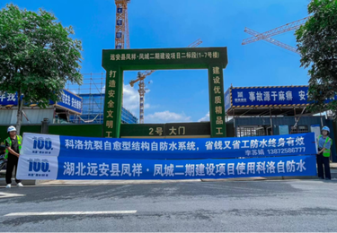 案例展示