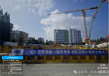案例展示