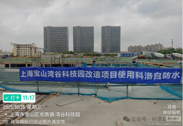 案例展示