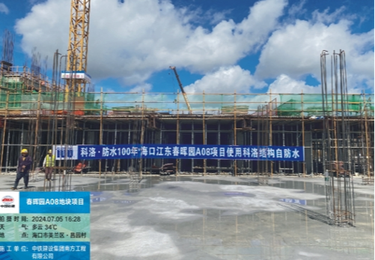 案例展示