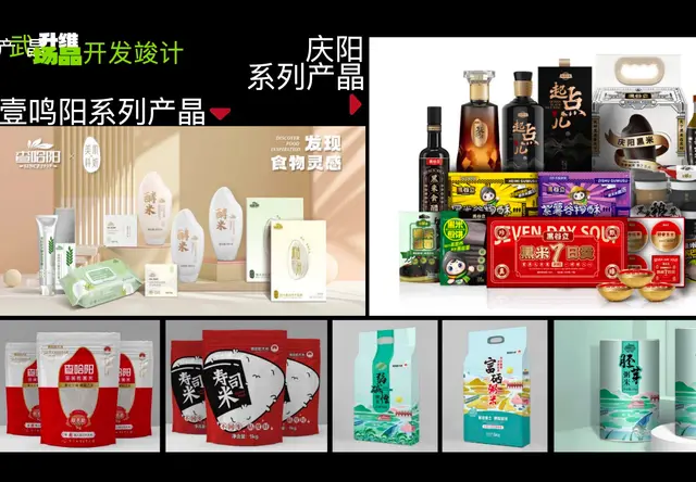案例