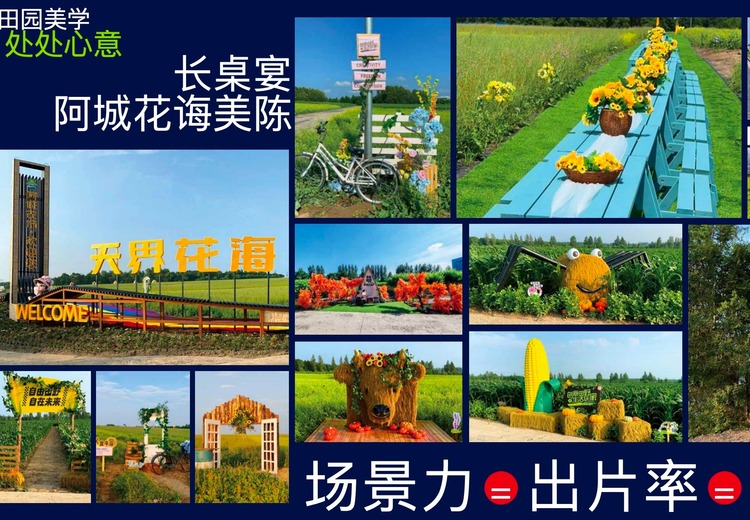 23 年品牌设计老将珈言：言殳掌舵者，为百余个知名品牌及农文旅项目赋能