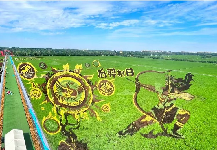 珈言：23年品牌设计老将，言殳掌舵人，为百余个知名品牌与农文旅项目赋能