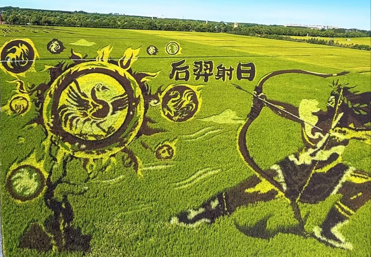 珈言：23年品牌设计老将，创业8年服务百家名企，助力农文旅项目从0到1