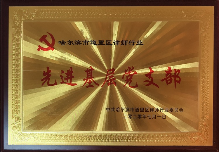 哈尔滨市道里区律师行业先进基层支部：展现行业风采，引领建工作新高度