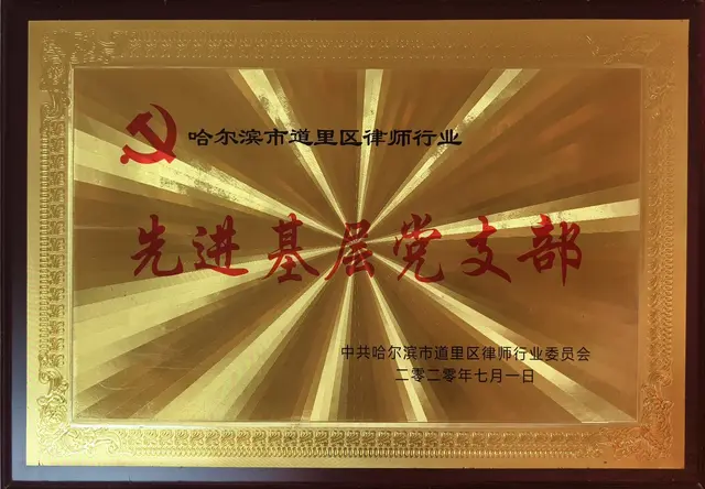 哈尔滨市道里区律师行业先进基层党支部