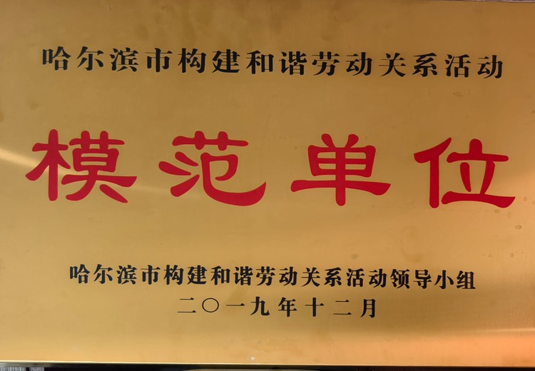 哈尔滨市树立典范：表彰构建和谐劳动关系活动模范单位，引领行业新风尚