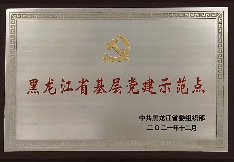 黑龙江省基层建示范点：聚焦基层建工作，树立典范引领全省建高质量发展