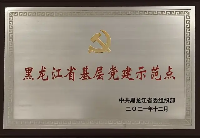 黑龙江省基层党建示范点