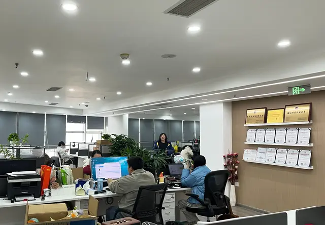 VIP会员（付费）