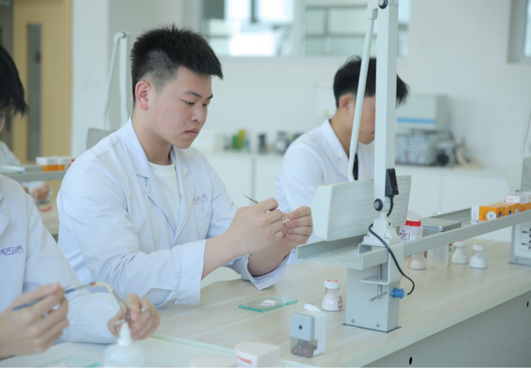 深入了解口腔专业：前景广阔，技能多样，开启口腔健康守护新征程