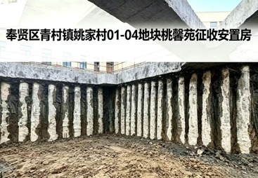 奉贤区青村镇姚家村 01-04 地块桃源馨苑征收安置房项目