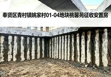 奉贤区青村镇姚家村 01-04 地块桃源馨苑征收安置房项目