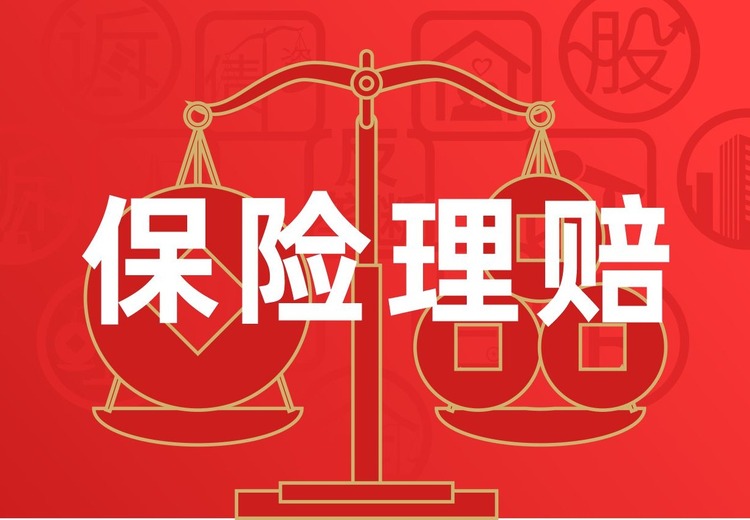 一站式保险纠纷解决方案：人身、车险、企业财产险及其他理赔与维权服务