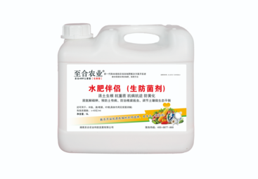 君山区至合 AMF 生防菌（水肥伴侣）