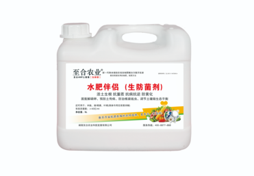 至合 AMF 生防菌（水肥伴侣）