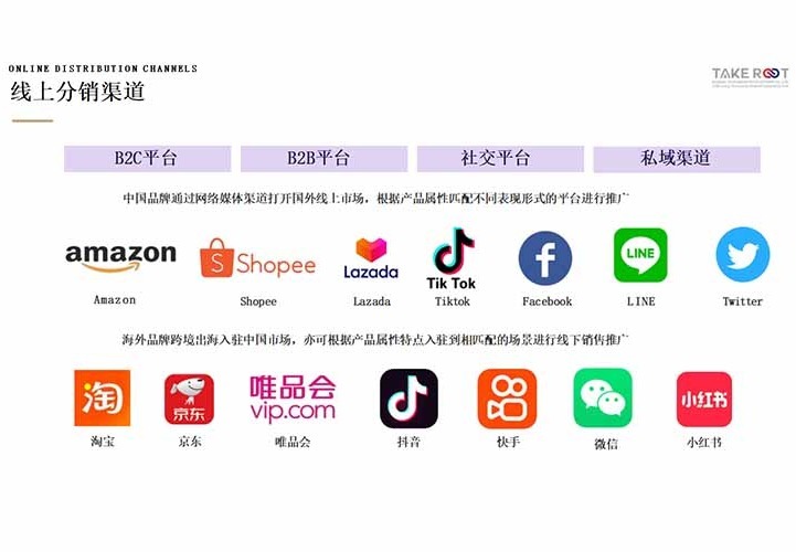 专业团队助力外贸，涵盖资料整备、平台运营与获客渠道搭建全流程