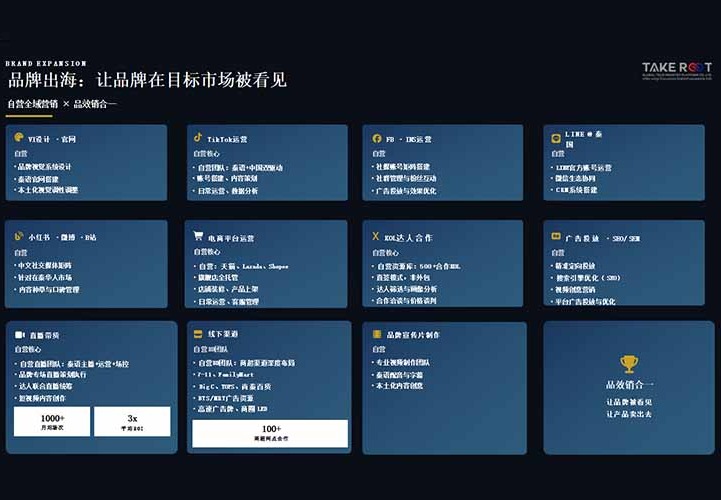海外独立站智能推广