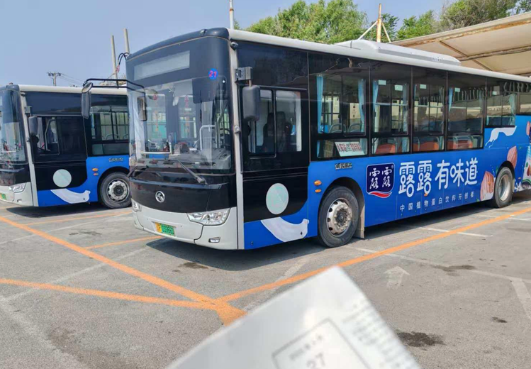 公交广告投放套餐来袭！含车体、后风挡等，多线路可选，服务全面