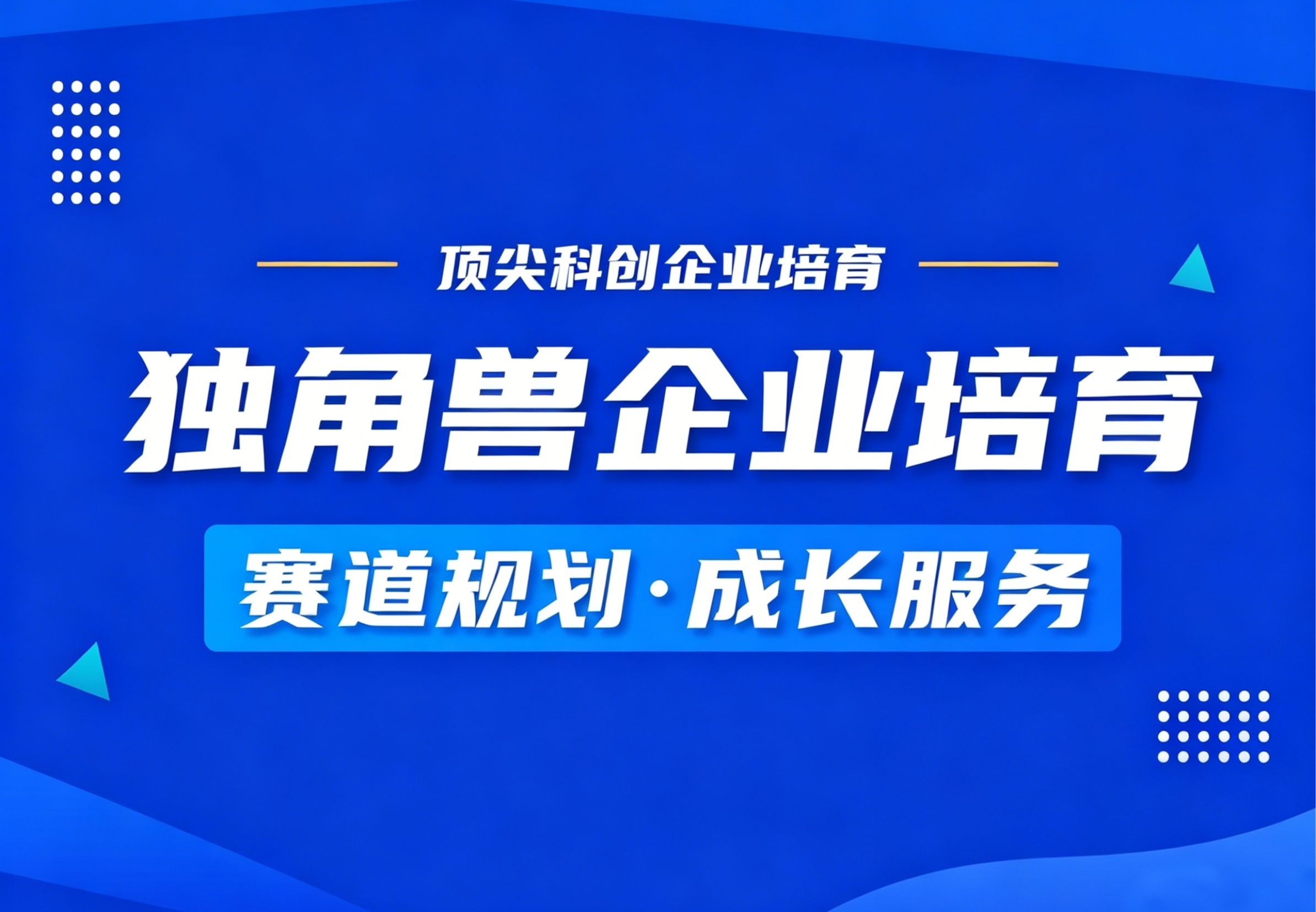 独角兽企业