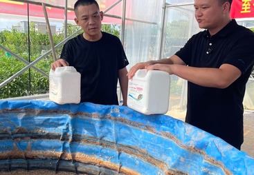 国外农友来基地学习自制肥方案