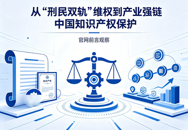 从&ldquo;刑民双轨&rdquo;维权到产业强链中国知识产权保护