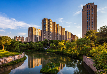 小区虫鼠防治