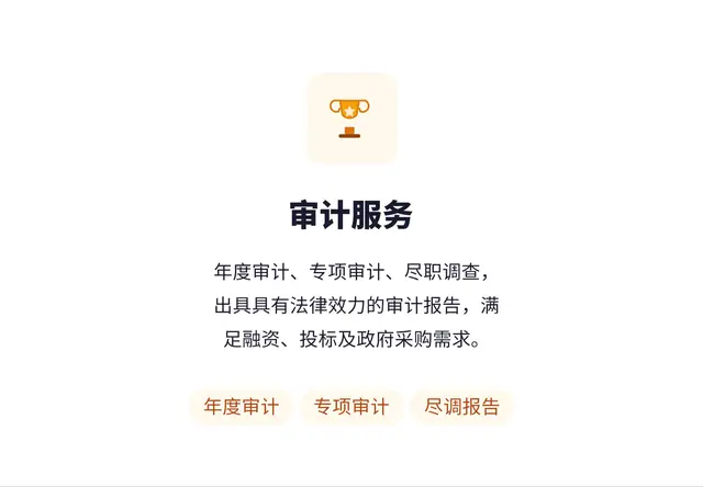 审计服务