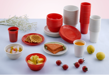 食品级可降解餐盒，十万级车间生产，规格多样，支持定制，绿色环保之选