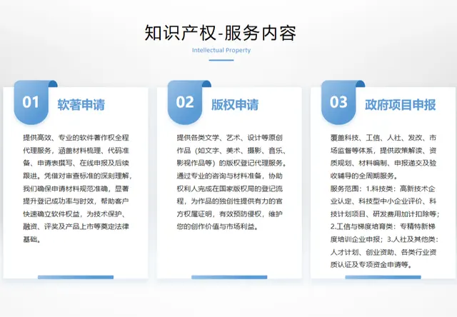 政府项目申报服务