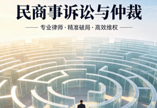 民商事诉讼与仲裁