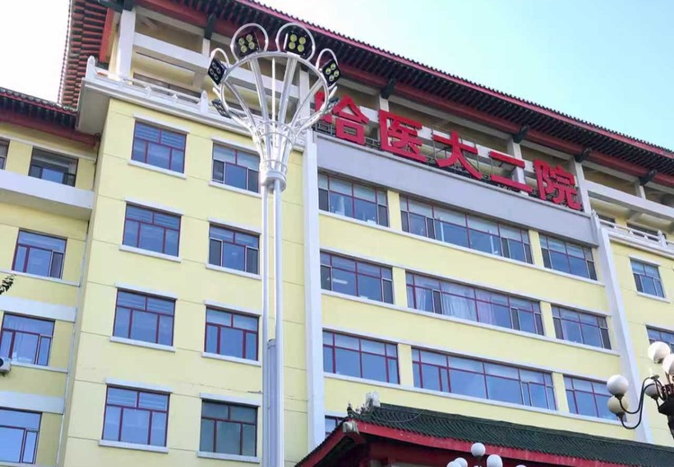 哈尔滨朋之辉照明：自研自产适配东北严寒，全流程服务打造一体化照明方案