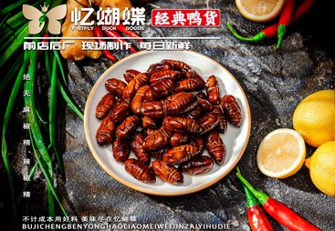 蚕蛹