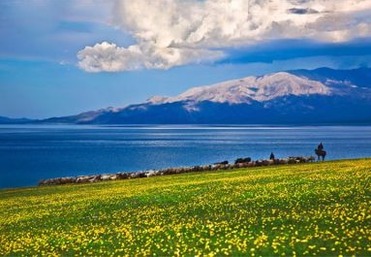 赛里木湖・高山湖泊花海一日游
