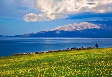赛里木湖・高山湖泊花海一日游