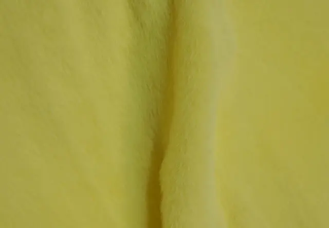 欧貂