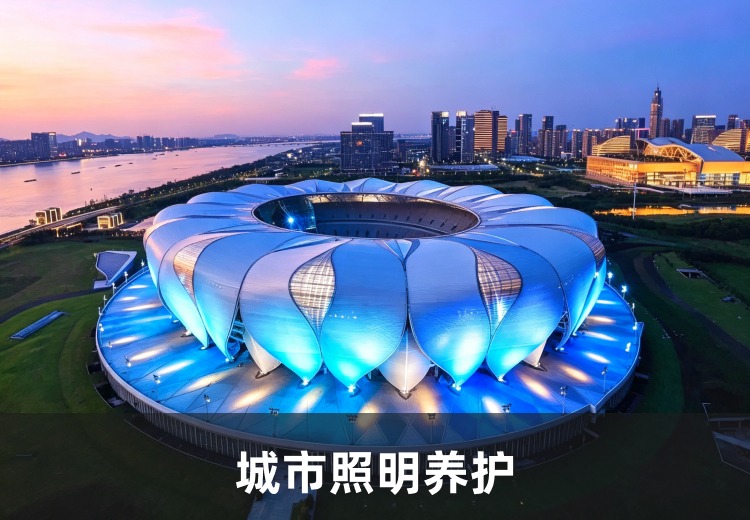 城市照明服务