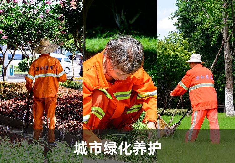 城市绿化养护：全周期专业管护，适配多场景，优化生态、维持景观美观