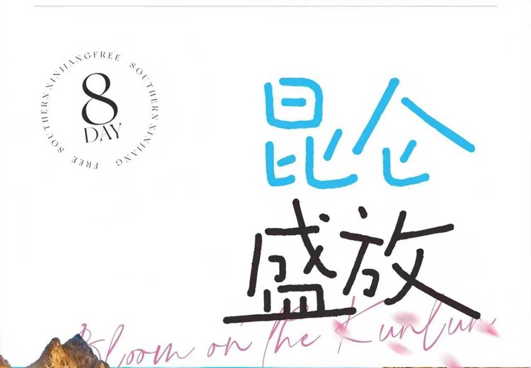 神秘图片背后的故事，一张来自https://cdn.img.fagua.net的独特画面引人遐想