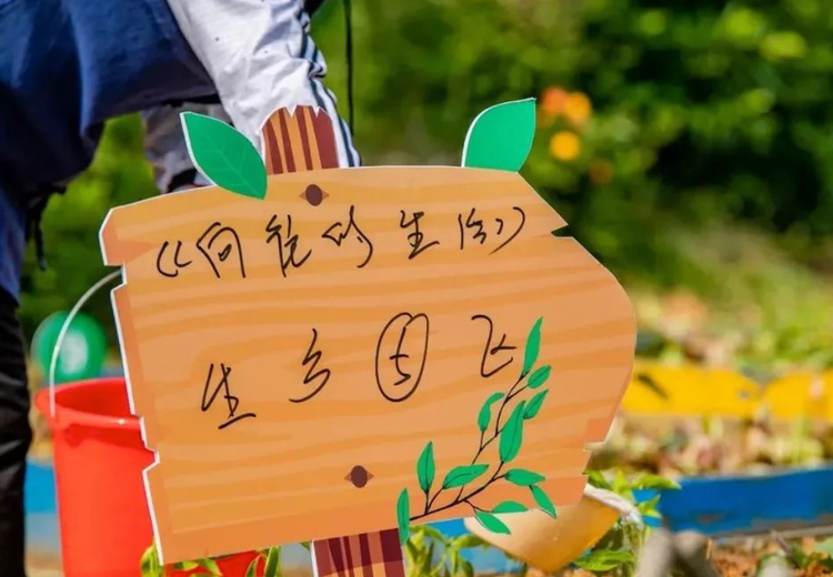 《向往的生活》解锁，团队田园团建开启，体验日出而作日落而息的惬意