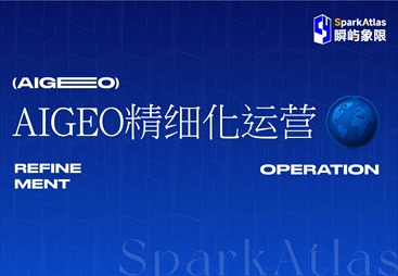 临安区AI GEO 精细化运营